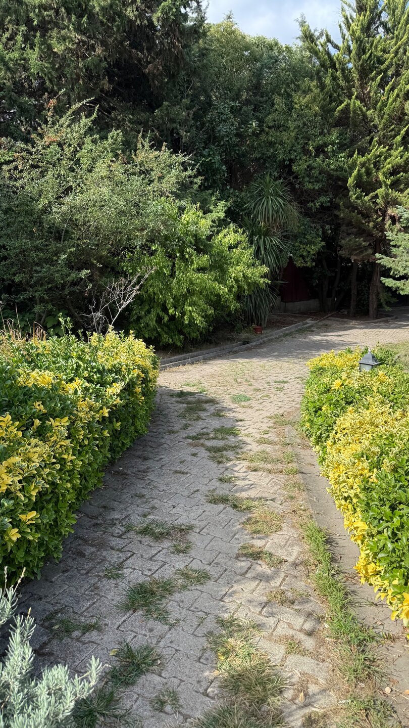 Yürüyüş Yolu