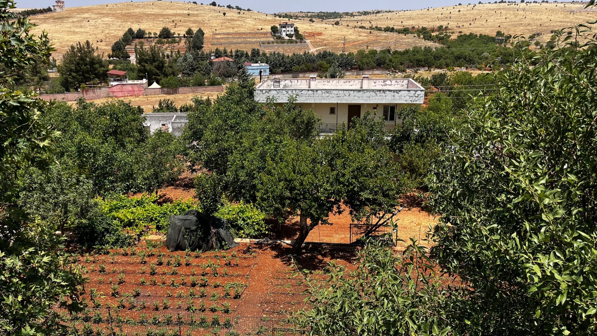 Bahçe