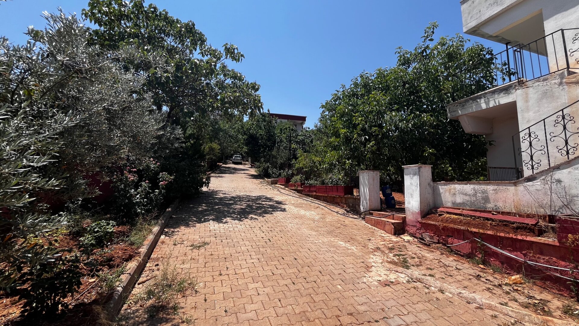 Mekan fotoğrafı