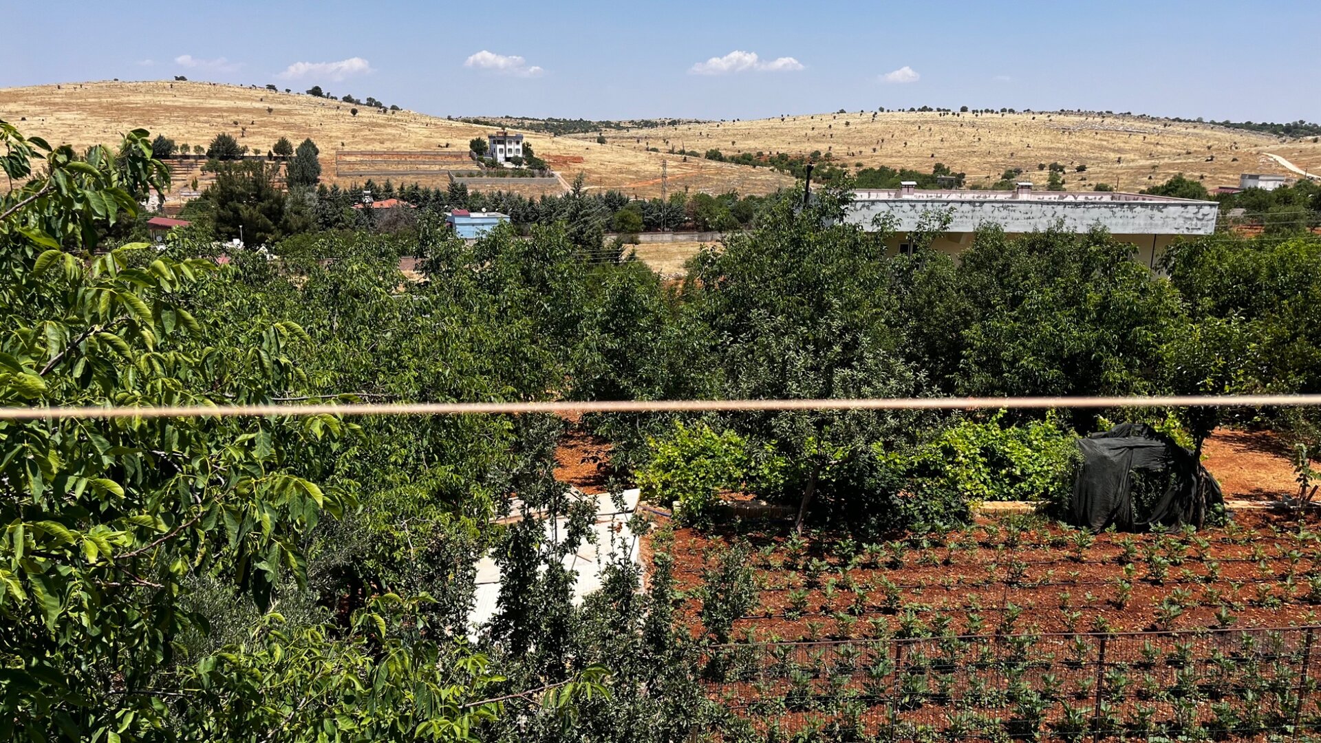Bahçe