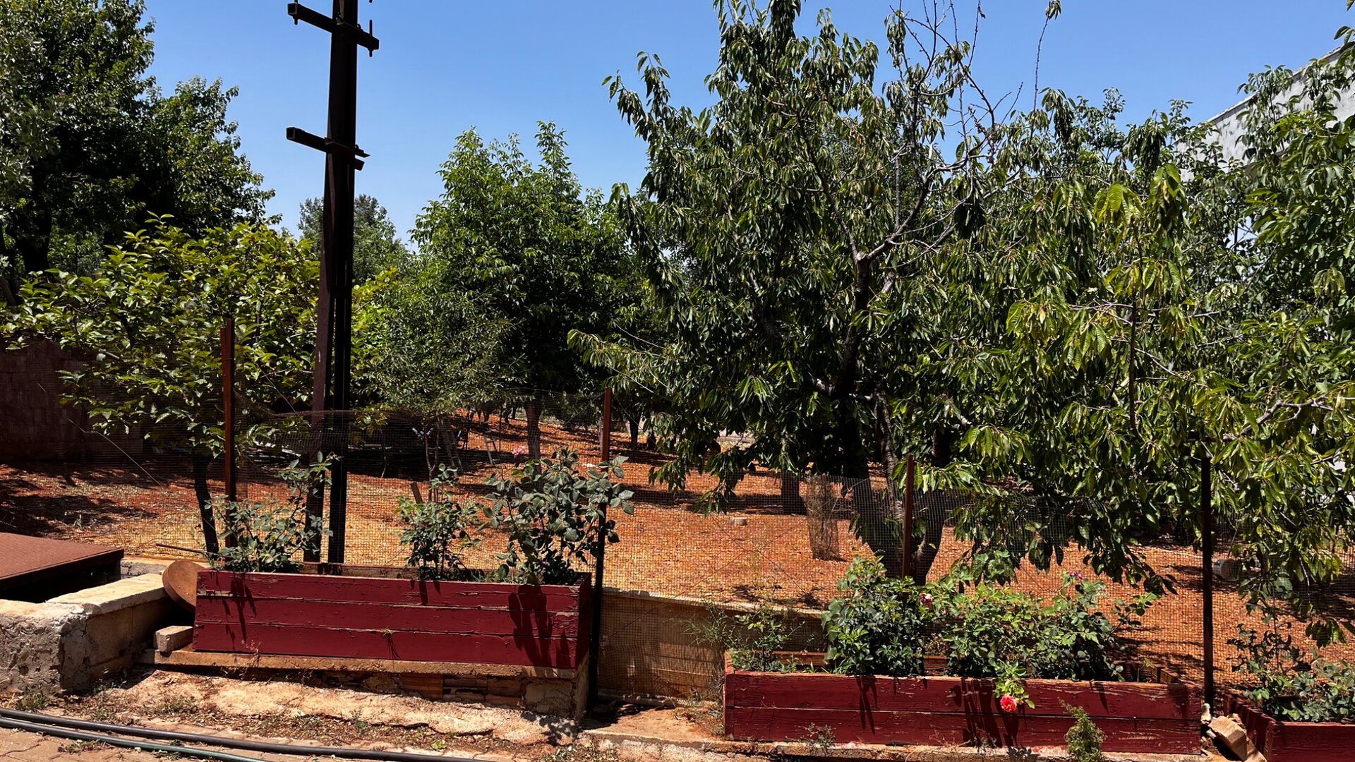 Bahçe