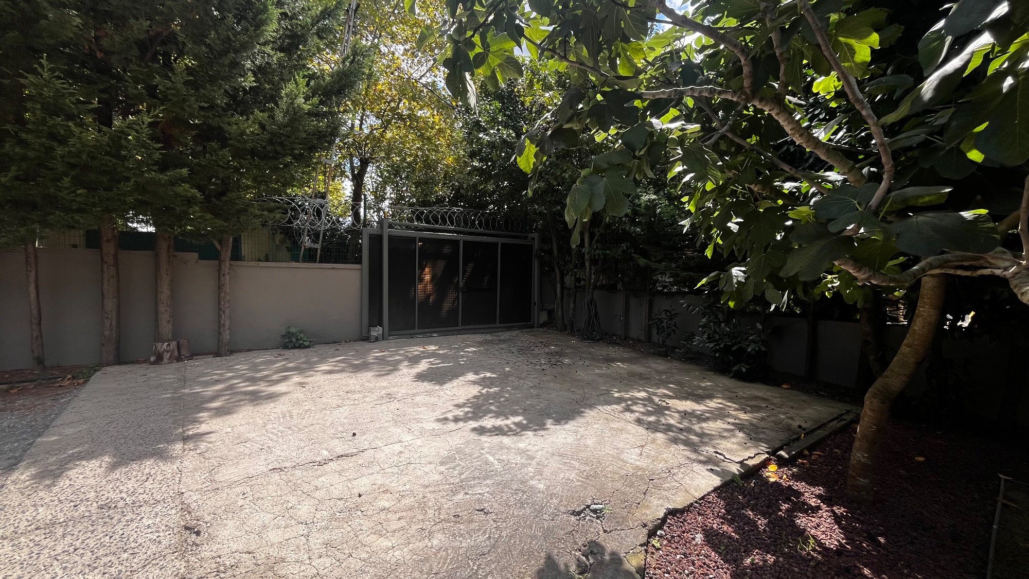 Mekan fotoğrafı