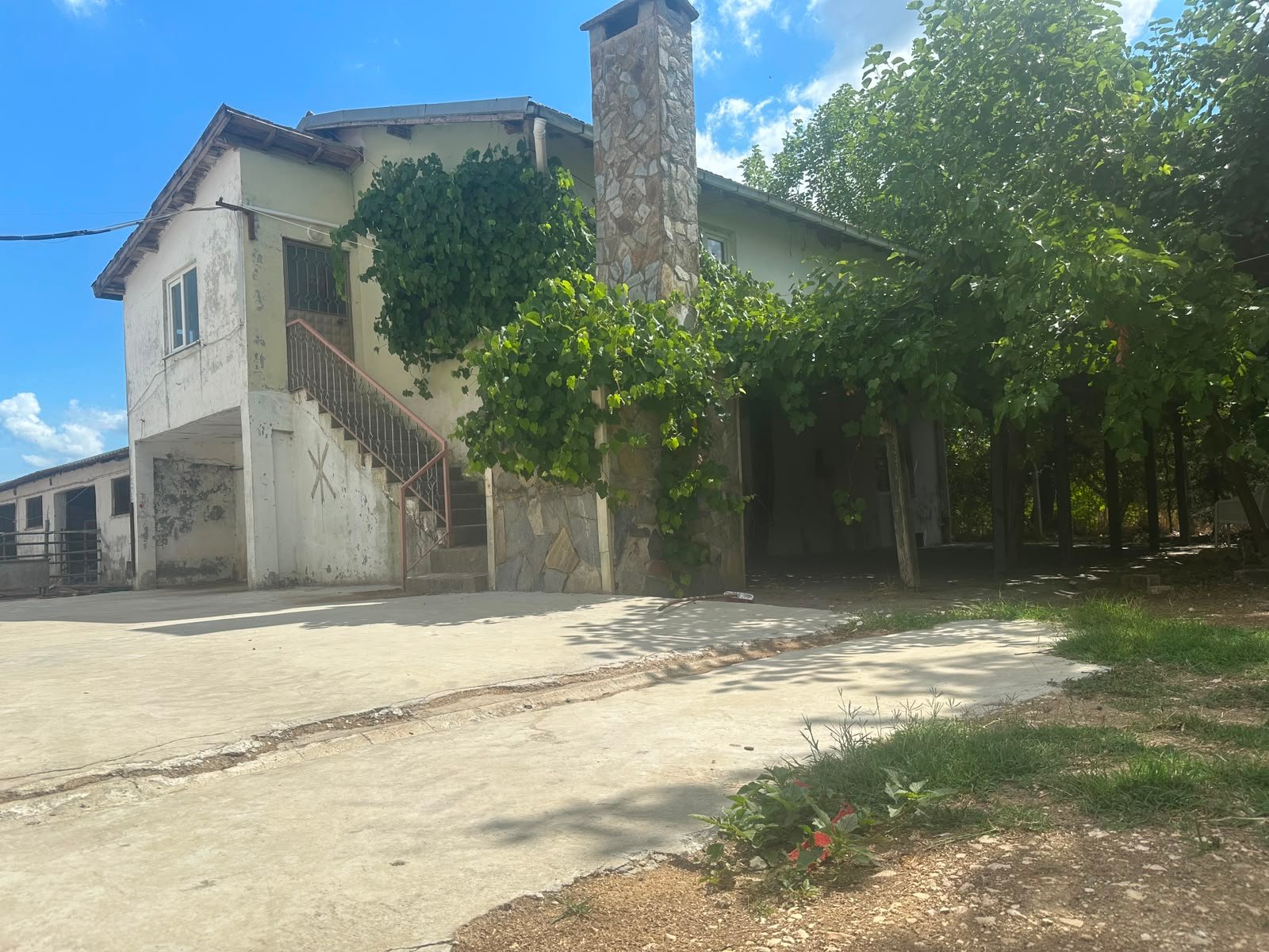 Mekan fotoğrafı